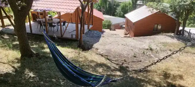 Дубки - 1