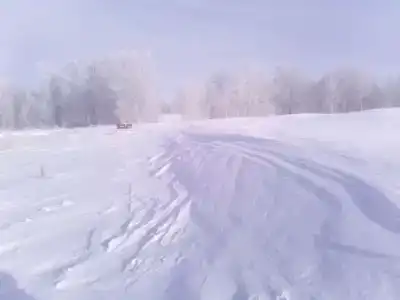 Тридевятое царство - 2