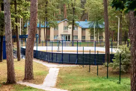 Волга - 10