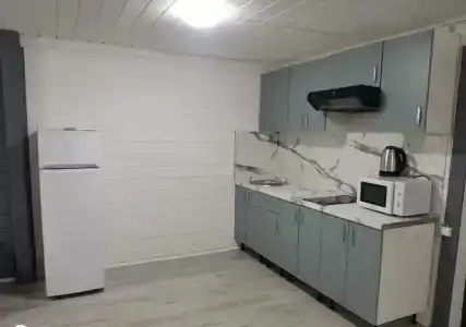 Фортуна - 113