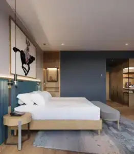 Radisson Blu, Airport - 11