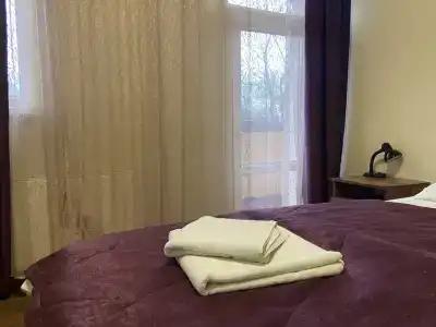 Феникс - 70