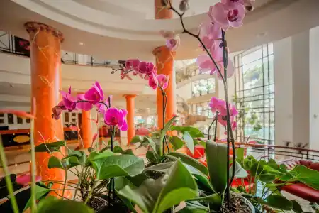 Kobuleti Georgia Palace & Spa - 23