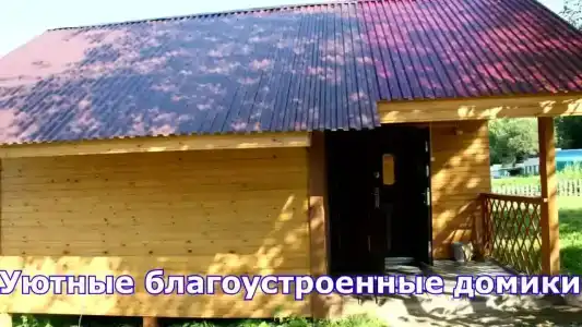 Муравей - 8