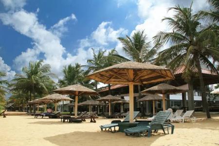 Goldi Sands - 19