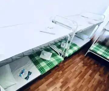 Гости - 12