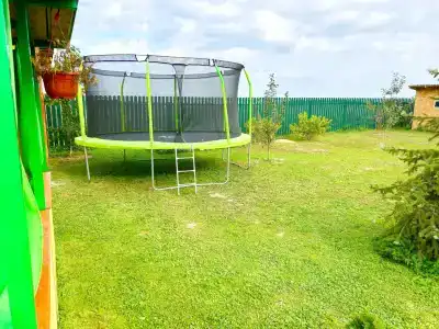 Дикая земля - 19