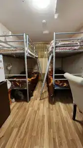 Travel Hostel - 53