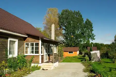 Боровики - 46