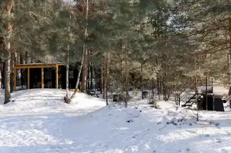 Место под соснами - 1
