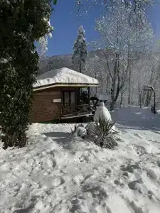 Холодный Ручей - 1