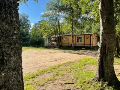 Грузино 4 - 4