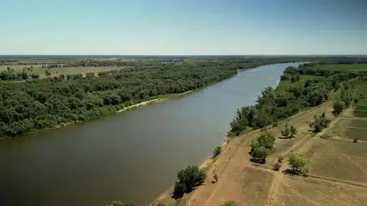 River&Fish - 1