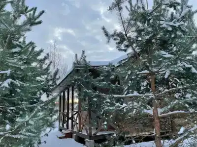 Дом наедине с природой - 1