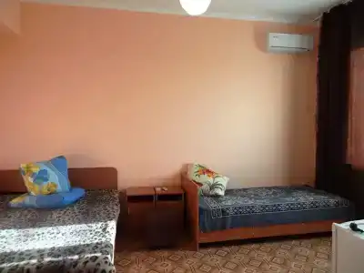 София - 11