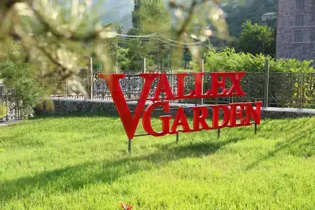 Vallex Garden - 8
