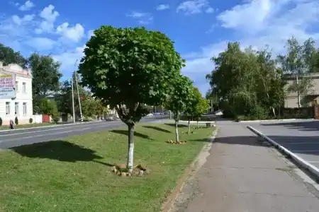 Аллан - 17