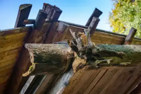 Дачный глэмпинг для интровертов - 50
