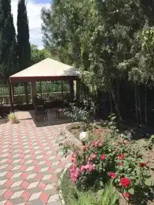 Сапфир - 4