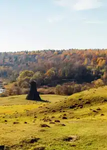 Клевер - 6