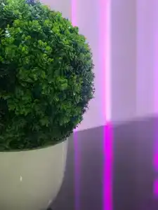 Арбат - 4