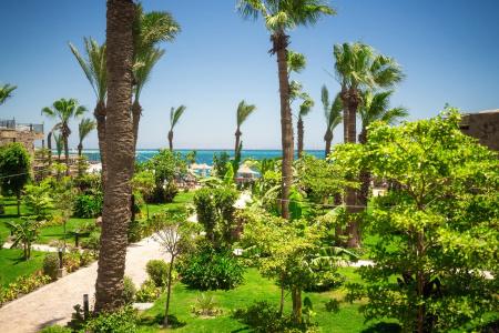 Jewels Sahara Boutique Resort - 8