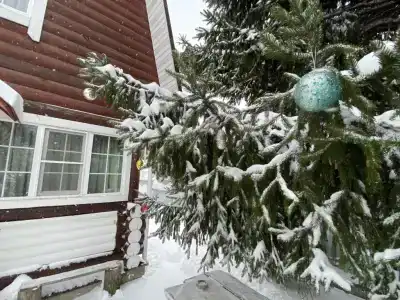 Частный дом на Волге - 1