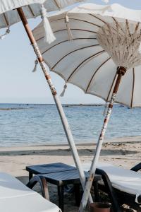 Arkin Palm Beach - 19