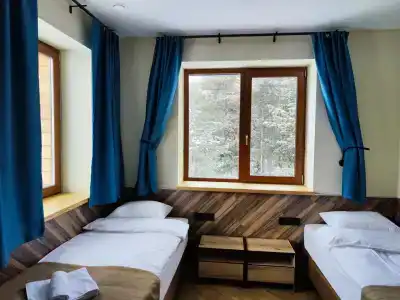 Зеленый Бор - 4