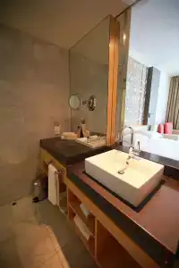 Hyatt Regency Dushanbe - 5
