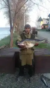 Найт Флайт - 43