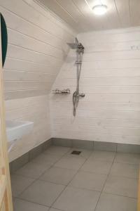 Сосновка - 23