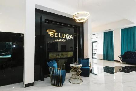 Beluga - 2