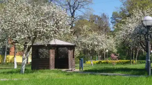 Радуга - 6
