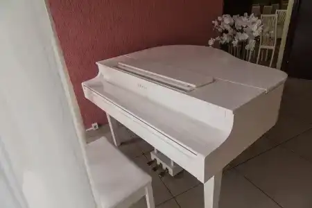 Лосвидо - 19