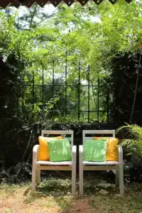 Tree of Life Nature Resort - 5