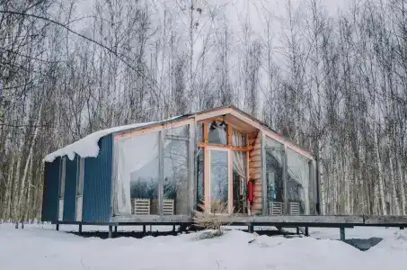 Клевер - 201