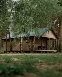 Дзик - 2