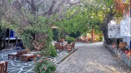 Oasis Bungalows Rhodes- All Inclusive - 2