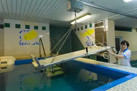 Днепровские сосны - 4