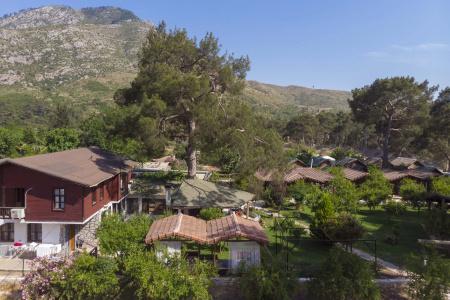 Koala Bungalows - 3