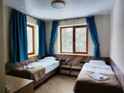 Зеленый Бор - 1