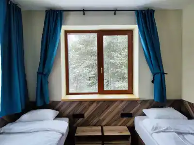 Зеленый Бор - 11