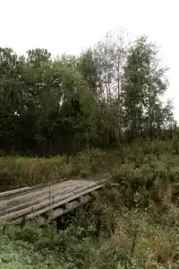 Дома лучше дома - 9
