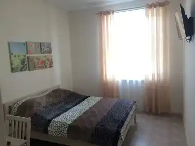 Флора - 7