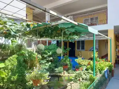 GreenZone - 17