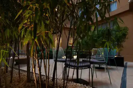 Holiday Inn Express Tbilisi Avlabari, Ihg - 13