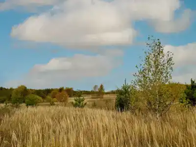 Родные просторы - 15