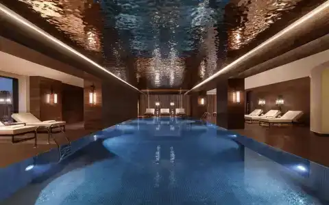 The Ritz-Carlton - 19