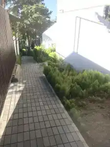 Крымские каникулы - 0
